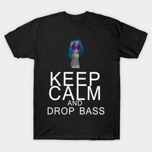 Vinyl Scratch - Keep Calm Drop Bass Typography T-Shirt